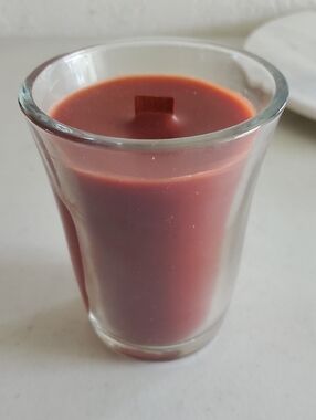 Warm Cinnamon Pumpkin Wood Wick candle 50 hr burn crackles Celebrating Home New